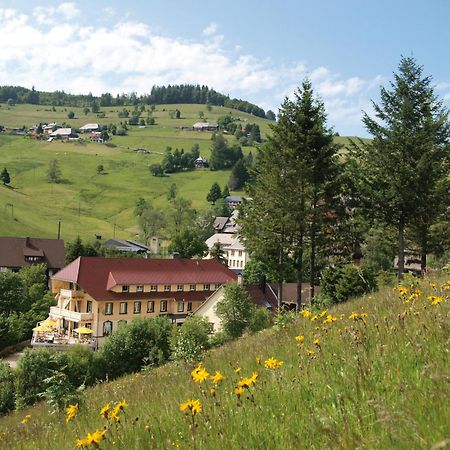 Gruener Baum Naturparkhotel & Schwarzwald-Restaurant Todtnau Eksteriør billede