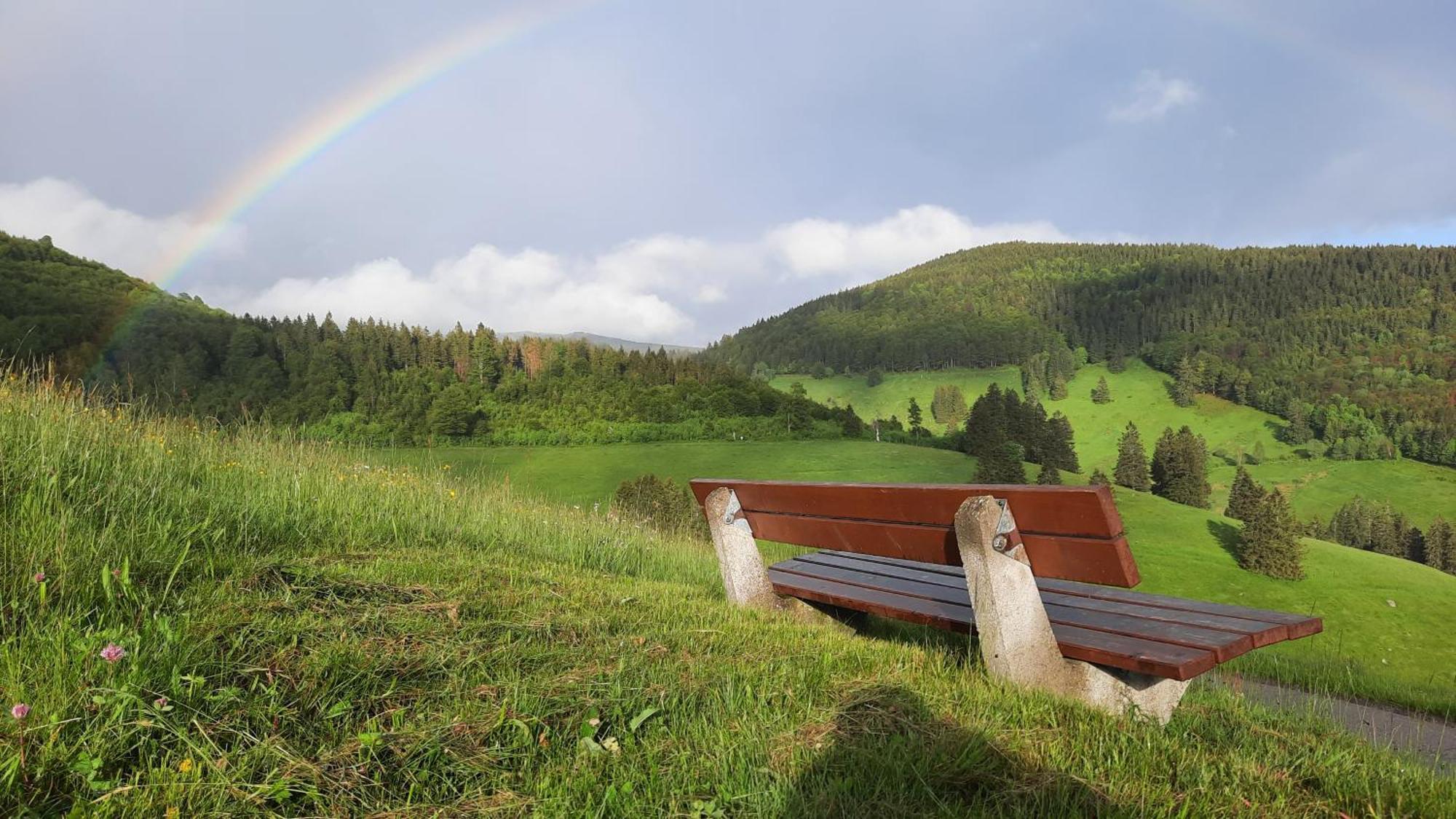 Gruener Baum Naturparkhotel & Schwarzwald-Restaurant Todtnau Eksteriør billede