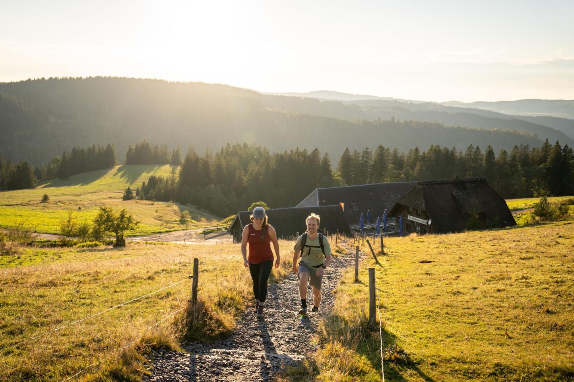 Gruener Baum Naturparkhotel & Schwarzwald-Restaurant Todtnau Eksteriør billede