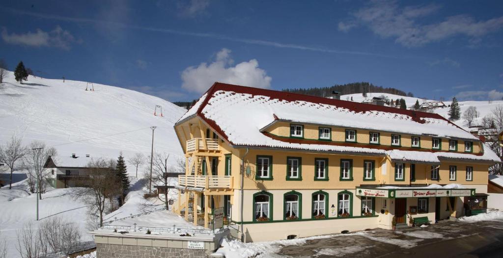 Gruener Baum Naturparkhotel & Schwarzwald-Restaurant Todtnau Eksteriør billede