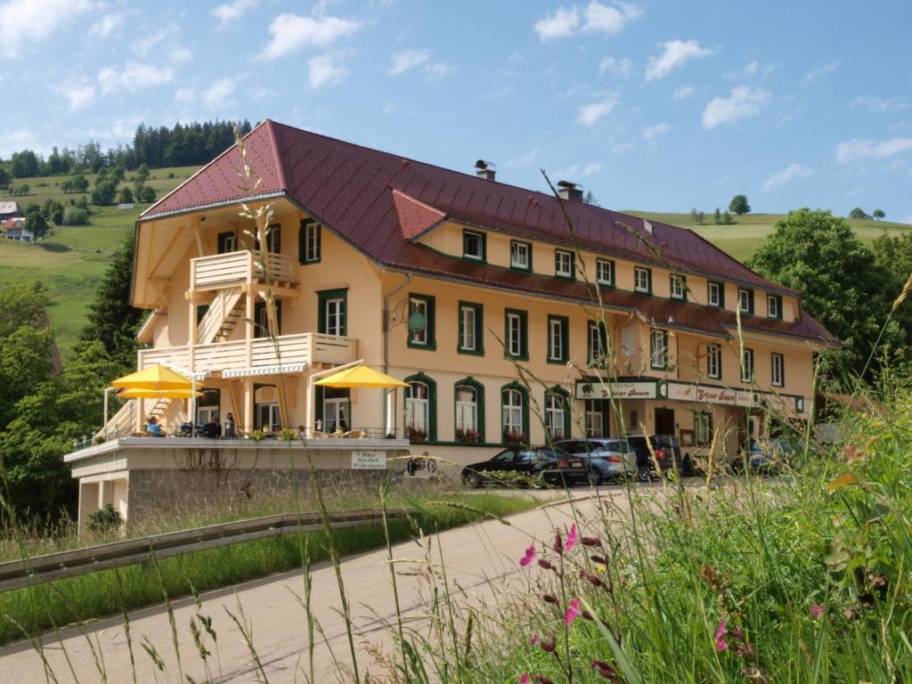 Gruener Baum Naturparkhotel & Schwarzwald-Restaurant Todtnau Eksteriør billede