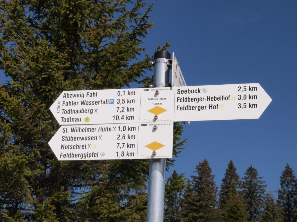 Gruener Baum Naturparkhotel & Schwarzwald-Restaurant Todtnau Eksteriør billede