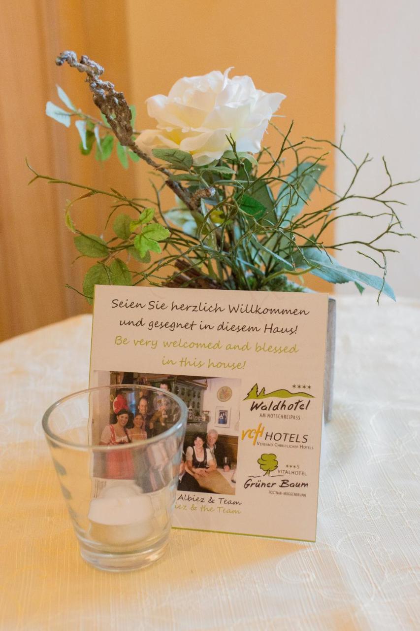Gruener Baum Naturparkhotel & Schwarzwald-Restaurant Todtnau Eksteriør billede